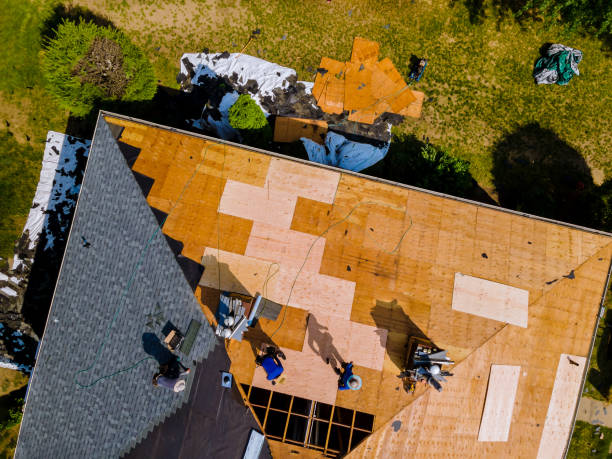 Best Tile Roofing Contractor  in Escatawpa, MS