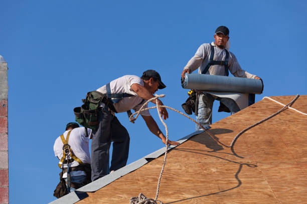 Best Gutter Installation and Roofing  in Escatawpa, MS